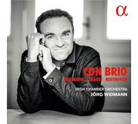 9390889 Audio Cd Jörg Widmann / Irish Chamber Orchestra - Widmann, Strauss & Bee