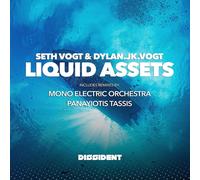9391838 Audio Cd Seth & Dylan.Jk.Vogt Vogt - Liquid Assets