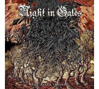 9394983 Audio Cd Night In Gales - The Black Stream