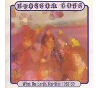 9394984 Audio Cd Blossom Toes - What On Earth