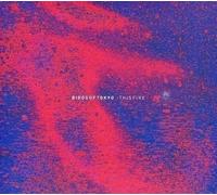 9401706 Audio Cd Birds Of Tokyo - This Fire
