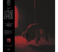 9407582 Audio Cd Knocked Loose - Tear In The Fabric Of Life