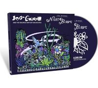 9408393 Audio Cd Jeff Goldblum - Night Blooms