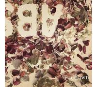 9421057 Audio Cd Predawn - Absence