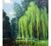 9434586 Audio Cd Shallow Rivers - Tales Told Under The Willow