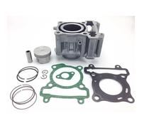 95011017 Cilindro Completo 125cc Yamaha Xmax - WR - YZF R - MT - Fantic Evo
