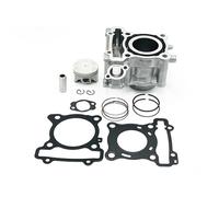 95011034 Cilindro Completo 125cc Yamaha Nmax 2015/2020 - R125 - Fantic 125