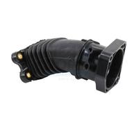 96004 Flessibile aria Ford C-Max (DM2), Meat & Doria