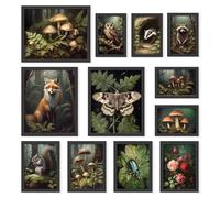 97 Decor Cottagecore Wall Art - Cottage Core, Vintage Botanico, Natura Funghi Animali Immagini per Camera da Letto (senza cornice)