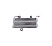 97385813 Scambiatore Radiatore Olio Opel Meriva A 1.7 Cdti