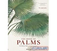9783836566148 H. Walter Lack C. F. P. von Martius. The book of palms. Ediz. ingl