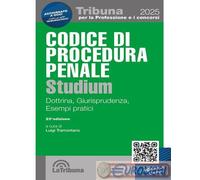 9788829117253 A.V. Codice di procedura penale Studium. Dottrina, giurisprudenza,