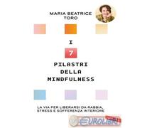 I 7 pilastri della mindfulness. La via per liberarsi da rabbia, stress e sofferenza interiore