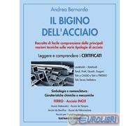 Libri Bernardo Andrea - Il Bigino Dell'acciaio. Raccolta Di Facile Comprensione