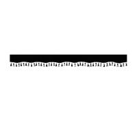 98647 - Oscura, fascia parasole per camion - Nero