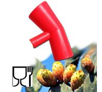 9868 Q.TA' 10 RACCOGLI FICHI DINDIA