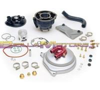 9911090 KIT TRASFORMAZIONE DA ARIA A LIQUIDO CON CILINDRO TOP TROPHY 70CC GHISA