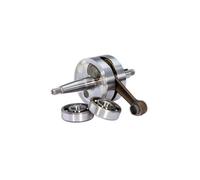 9921720 ALBERO MOTORE TPR SP12 C.39,2 + CUSCINETTI CMC ENDURO 50 2T 11-11