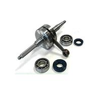 9925910 ALBERO MOTORE TPR CORSA 39.2 X MINARELLI ORIZZONTALE +CUSCINETTI+PARAOLI SPINOTTO 10