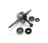 9928320 ALBERO MOTORE TPR SP12 B.80 C.39,2 + CUSCINETTI BETA CHRONO 50 2T 96-96
