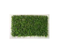 99374 ARELLA CON STECCATO E ERBA SEMPREVERDE 1X2 M