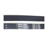 9PH 1860 Cinghia For Asciugatrice (144001958) 1860H9