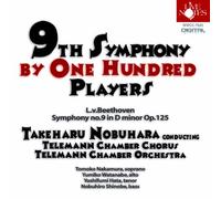 9th Symphony By One Hundred Pl