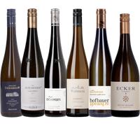 9wines set Box da 6: 93+ Punti Grüner Veltliner Premium - 6 x 0,75 L