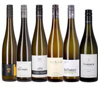 9wines set Box da 6: Grüner Veltliner - Eccellenze da Scoprire - 6 x 0,75 L