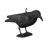 9x Cornacchia Spaventapasseri, Allontana Piccioni e Gufi, Statua Decorativa, da Terra, da Giardino, 38 cm, Nero