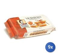 9x Multipack Vicenzi Vicenzovo Savoiardi Gr 300