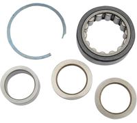 A-24004-03 BEARING KIT 24004-03 HARLEY FLSTSB 1584 CROSS BONES 2010
