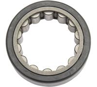 A-24605-07 BEARING 24605-07 HARLEY FXDLS 1800 ABS DYNA LOW RIDER S 2016