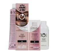 A ALAMA Professional Sos Color&Go set colorazione professionale permanente in 10
