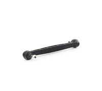 Giunto barra stabilizzatrice Asta del pendolo 260030 A.B.S. per PEUGEOT 306