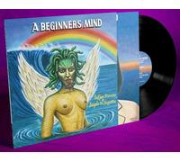 A Beginner S Mind - Stevens, Sufjan/Ange (Vinile)
