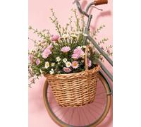 A Bicycle and a Basket of Flowers: Hardcover Lined Journal for Writing, Journaling, and Daily Reflection - 185 Pages from Pass Productions