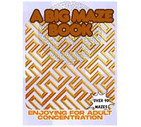 A Big Maze Book: Enjoying for Adult Concentration