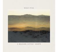 a billion little lights