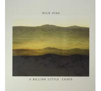 A Billion Little Lights (Vinyl LP)
