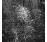 A Broadcast Of Your Silence (Blu-ray) Rafa Ramos Sania