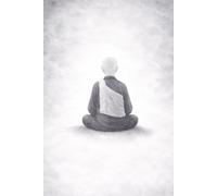 A Buddhist Priest Explains the Amitabha Sutra: A Clear and Accessible English Translation