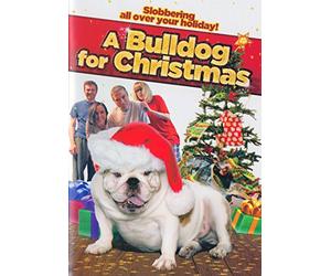 A Bulldog for Christmas