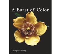 A Burst of Color: The beauty and energy of color