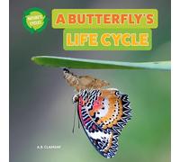 A Butterfly's Life Cycle