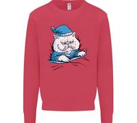 A Cat IN Bed Under The Duvet Bambini Felpa Maglione