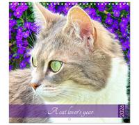 A cat lover's year (Wall Calendar 2026 12 × 12 Inch) CALVENDO 12 Month Wall Calendar: Cat portraits of our furry friends