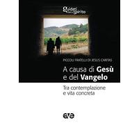 A causa di Gesù e del Vangelo. Tra contemplazione e vita concreta