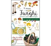 A cercar funghi di boschi e prati di montagna. Buoni, meno buoni, tossici e velenosi. Con le ricette per cucinarli