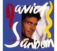 A Change of Heart by David Sanborn (1990-10-25)
